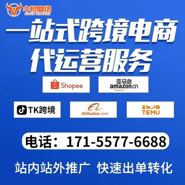 邛崃电商代运营